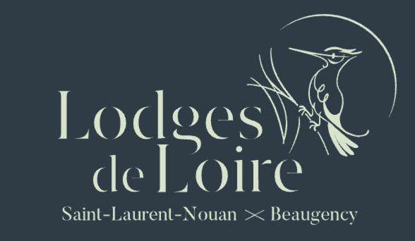Saint-Laurent-Nouan Lodge De Loire - B & B Proche Chambord מראה חיצוני תמונה